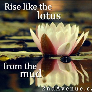 Rise like the lotus from the mud