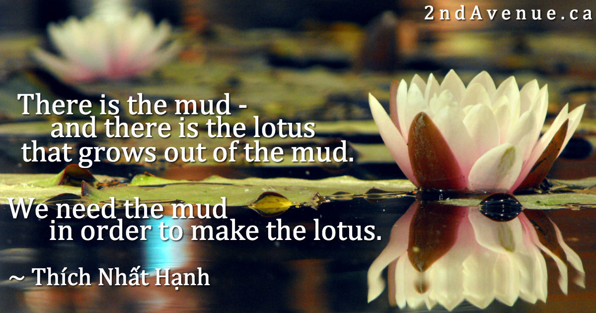 Lotus in the mud 2nd Avenue